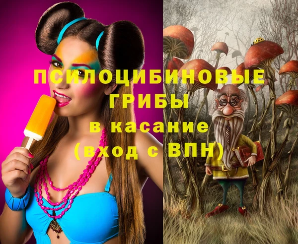 ECSTASY Армянск