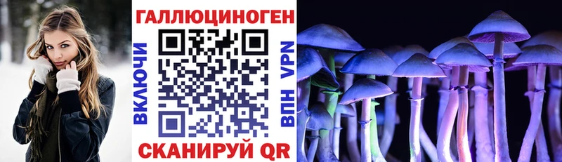 Галлюциногенные грибы мицелий  darknet клад  KRAKEN маркетплейс  Томмот  хочу наркоту 