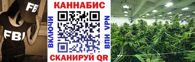 Шишки марихуана планчик  Томмот 